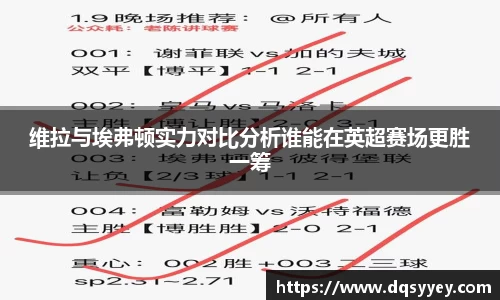 维拉与埃弗顿实力对比分析谁能在英超赛场更胜一筹